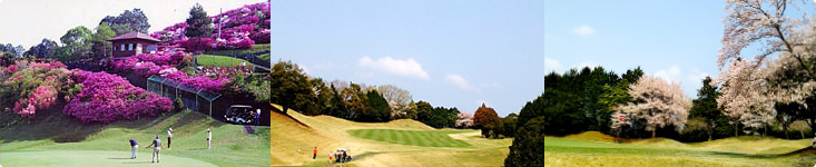 大洲ゴルフ倶楽部　ホールの写真